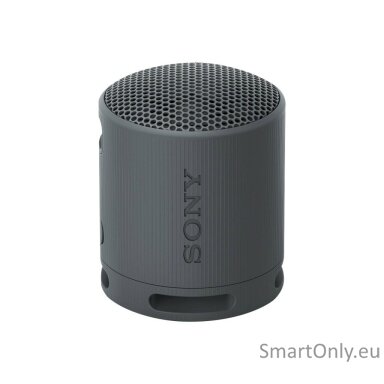 Sony SRS-XB100 Portable Wireless Speaker, Black