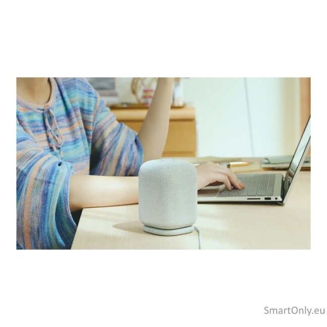 Sony SRS-LS1 LinkBuds Speaker Wireless Portable Speaker, Light Gray | Sony 13
