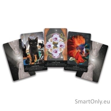 starlight-frequencies-oracle-kortos-sacred-scribe-publishing-1