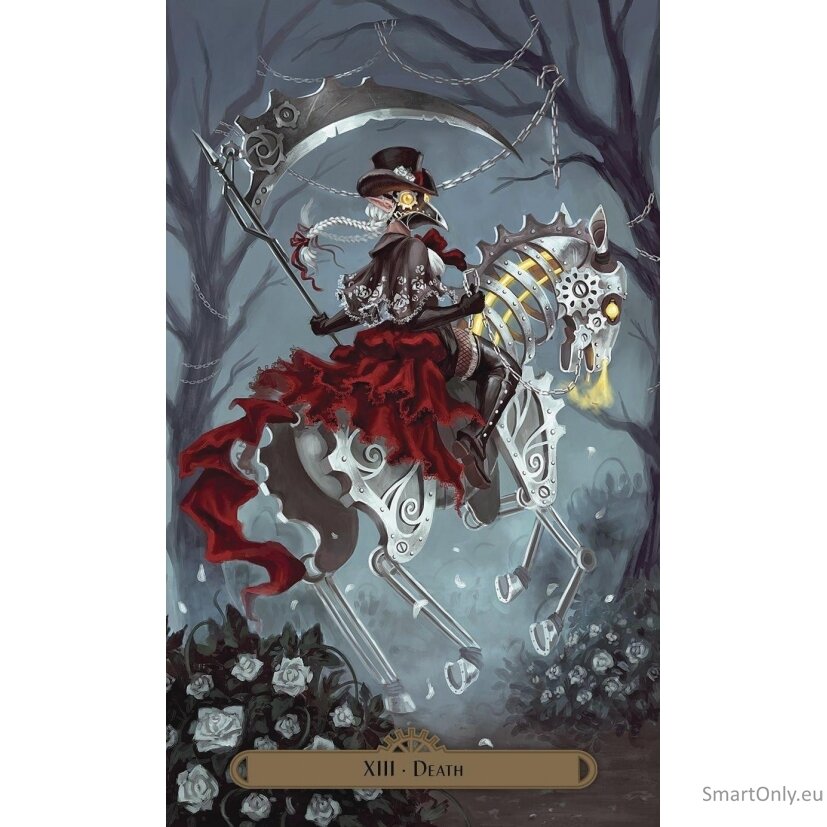 Steampunk Faerie Taro rinkinys Llewellyn 3