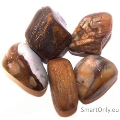 suakmenejusi-mediena-24-vnt-l-dydzio-ancient-wisdom