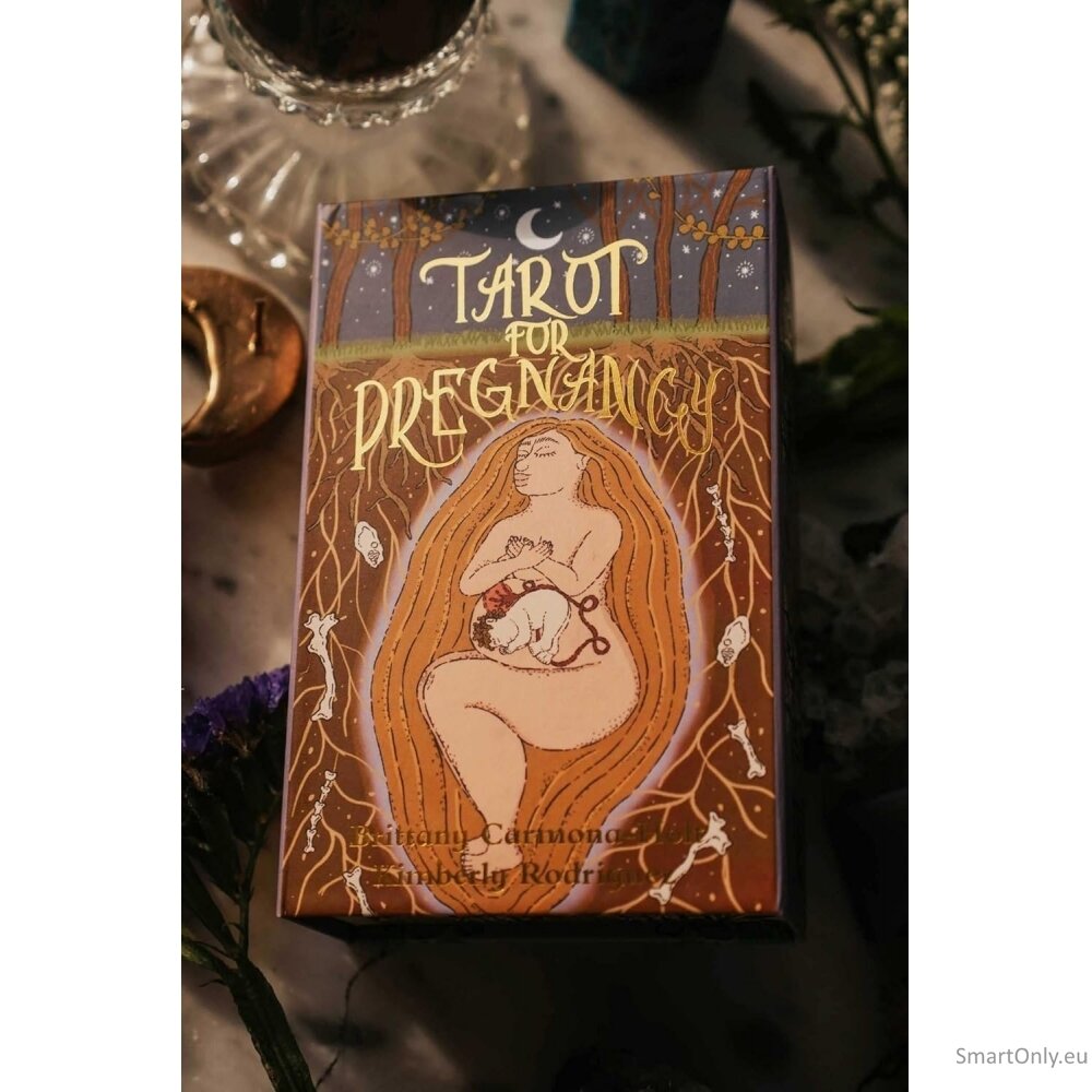 Tarot for Pregnancy kortos Row House Publishing 13 Tarot for Pregnancy kortos Row House Publishing 13