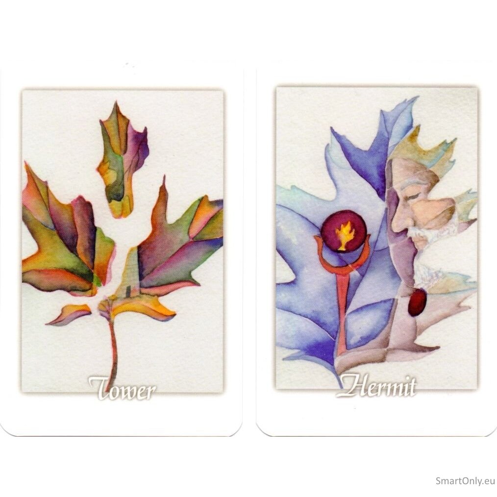Tarot Leaves Taro Kortos Schiffer Publishing 6 Tarot Leaves Taro Kortos Schiffer Publishing 6