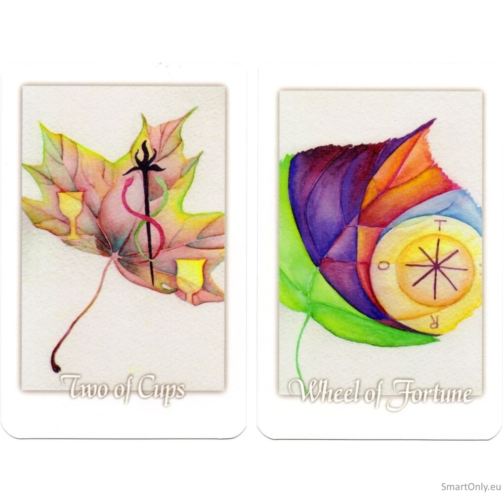 Tarot Leaves Taro Kortos Schiffer Publishing 7 Tarot Leaves Taro Kortos Schiffer Publishing 7