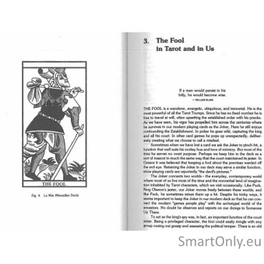 tarot-and-the-archetypal-journey-knyga-weiser-books