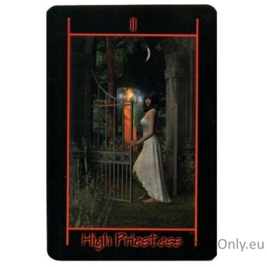 tarot-of-the-night-kortos-schiffer-publishing-1