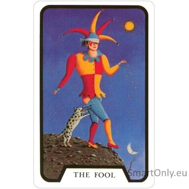 Tarot of The Witches taro kortos US Games Systems
