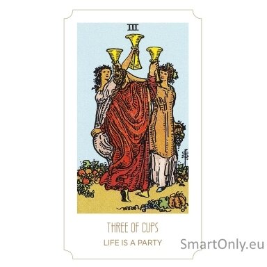 Tarot Young Feel The Vibes Kortos Dusserre by Cartamundi