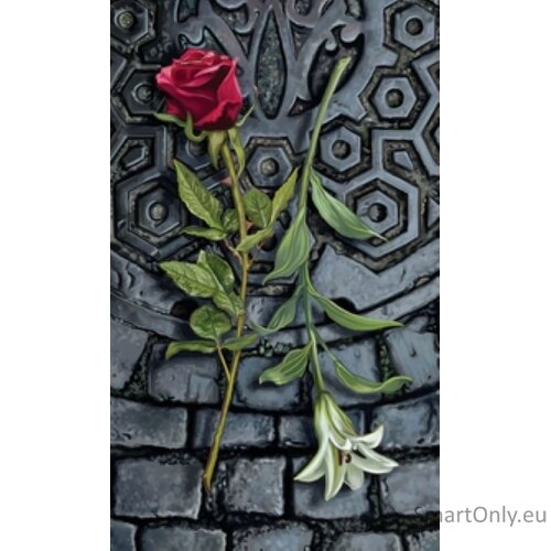 Tarot of the Vampires rinkinys Llewellyn 3 Tarot of the Vampires rinkinys Llewellyn 3
