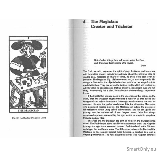 Tarot and the Archetypal Journey knyga Weiser Books 2
