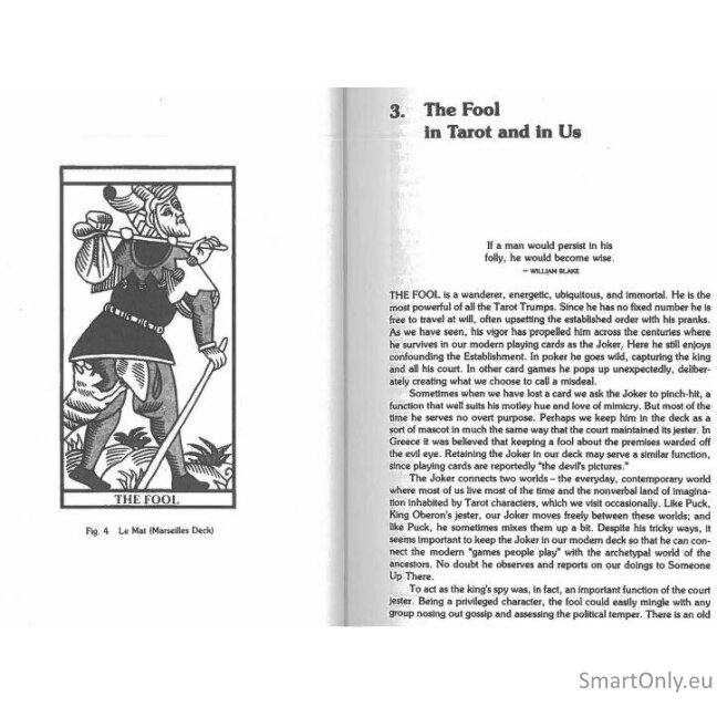 Tarot and the Archetypal Journey knyga Weiser Books 1