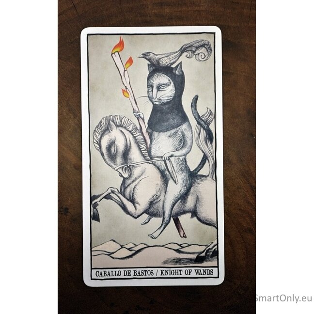 Tarot Cats kortos Fournier 11 Tarot Cats kortos Fournier 11