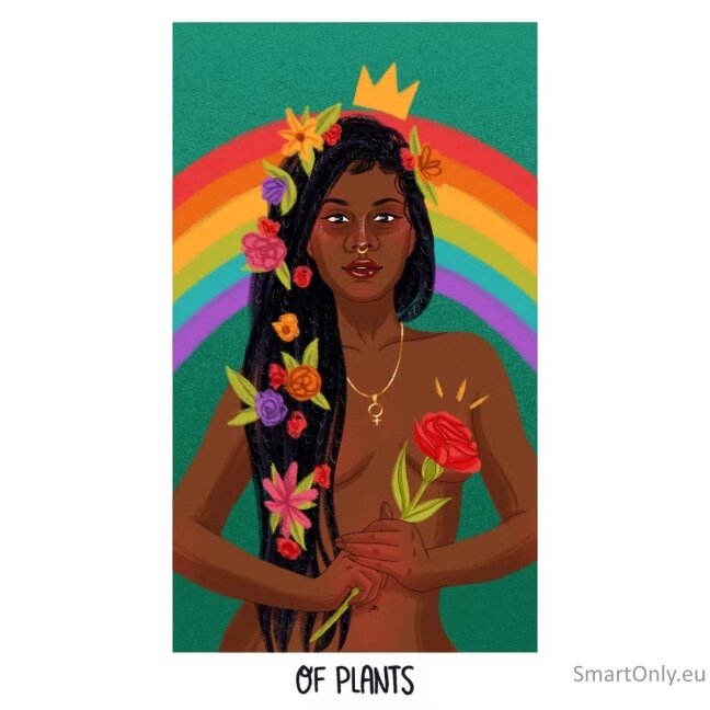 Tarot for You and Me kortos Simon Element 5