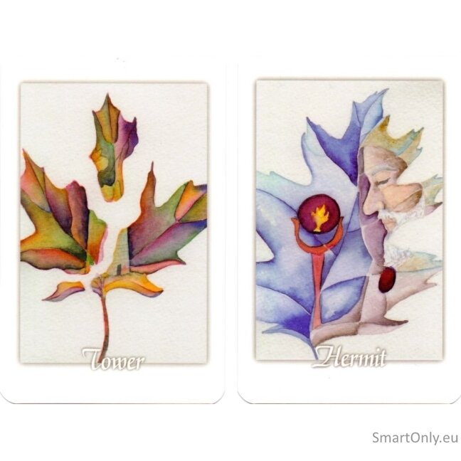 Tarot Leaves Taro Kortos Schiffer Publishing 6