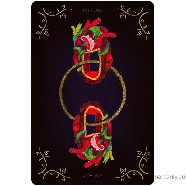 Tarot of H'Arts Taro kortos US Games Systems 1 Tarot of H'Arts Taro kortos US Games Systems 1