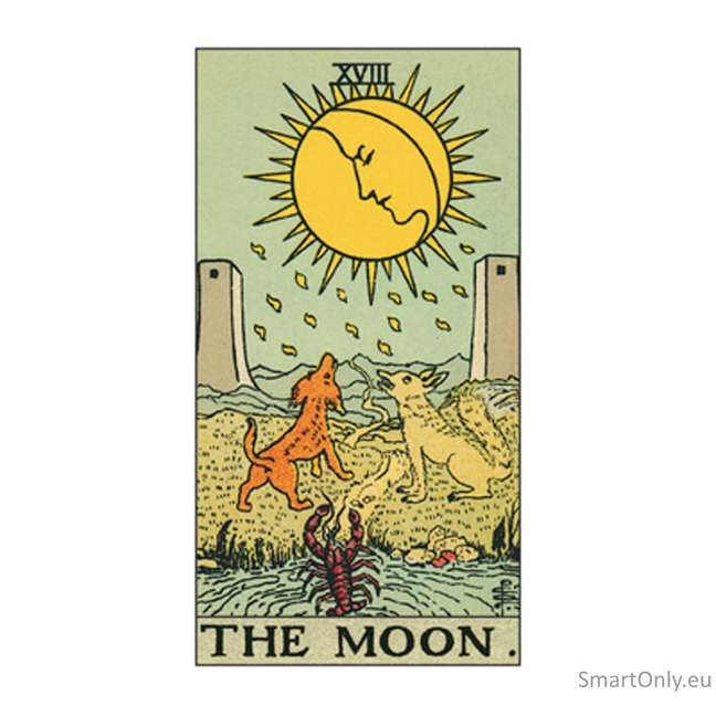 Tarot Original 1909 Kit kortos ir knyga Lo Scarabeo 6