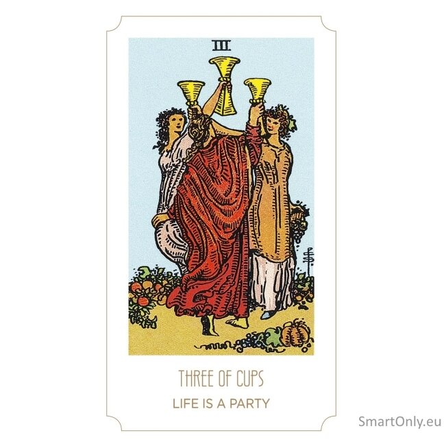 Tarot Young Feel The Vibes Kortos Dusserre by Cartamundi 1 Tarot Young Feel The Vibes Kortos Dusserre by Cartamundi 1