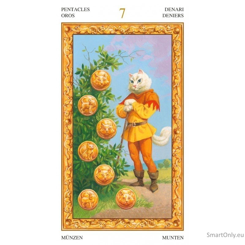 Tarot Of White Cats kortos Lo Scarabeo 3 Tarot Of White Cats kortos Lo Scarabeo 3