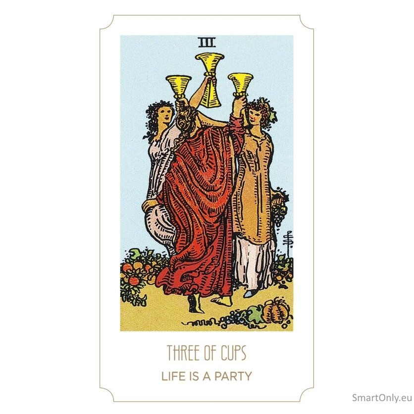 Tarot Young Feel The Vibes Kortos Dusserre by Cartamundi 1
