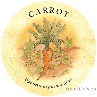 tea-leaf-fortune-kortos-us-games-systems-1