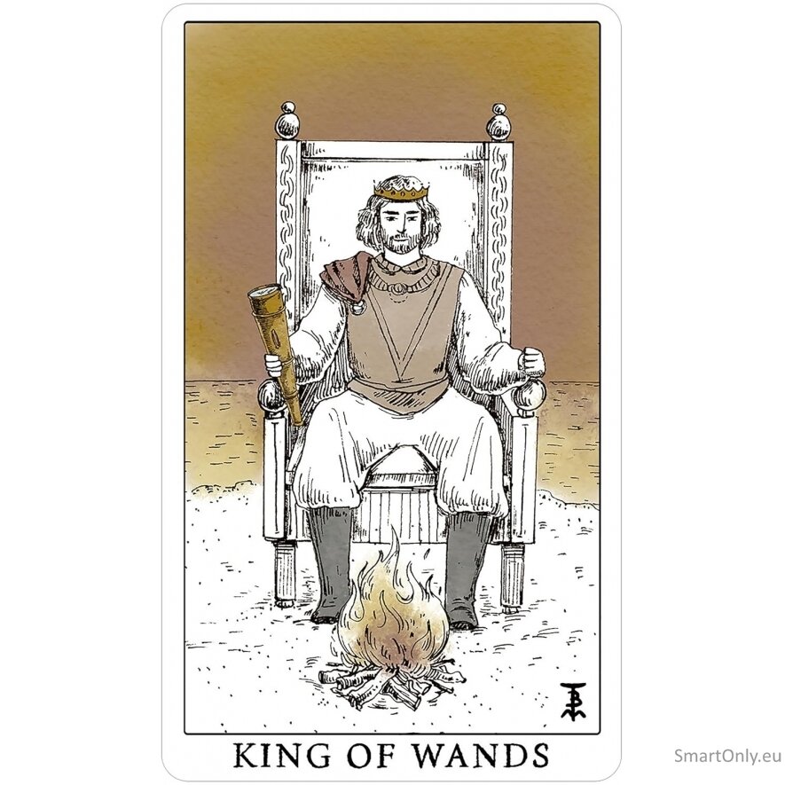 Tempest Tarot kortos US Games Systems 4