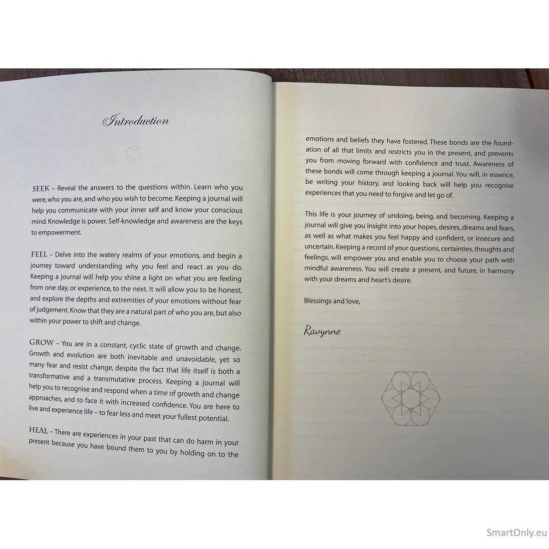 The dreamers story tarot journal užrašinė Blue Angel 4