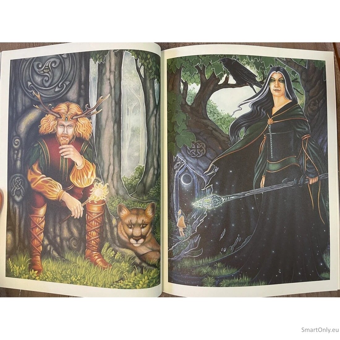 The dreamers story tarot journal užrašinė Blue Angel 6