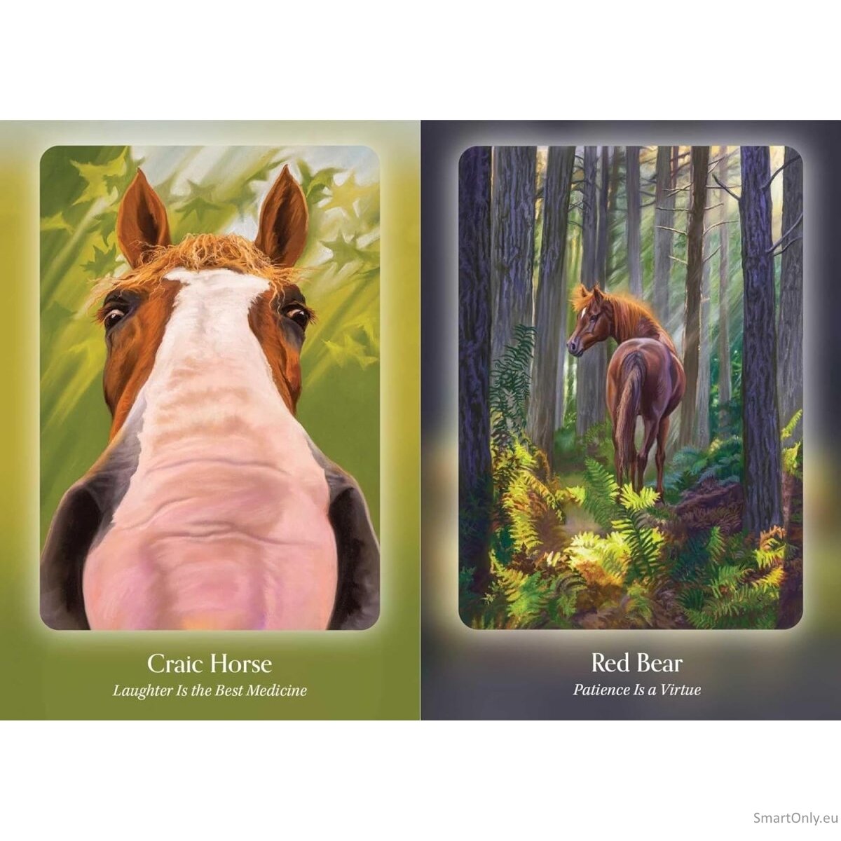 The Council of Horses Orakulo kortos Bear and Company 11 The Council of Horses Orakulo kortos Bear and Company 11