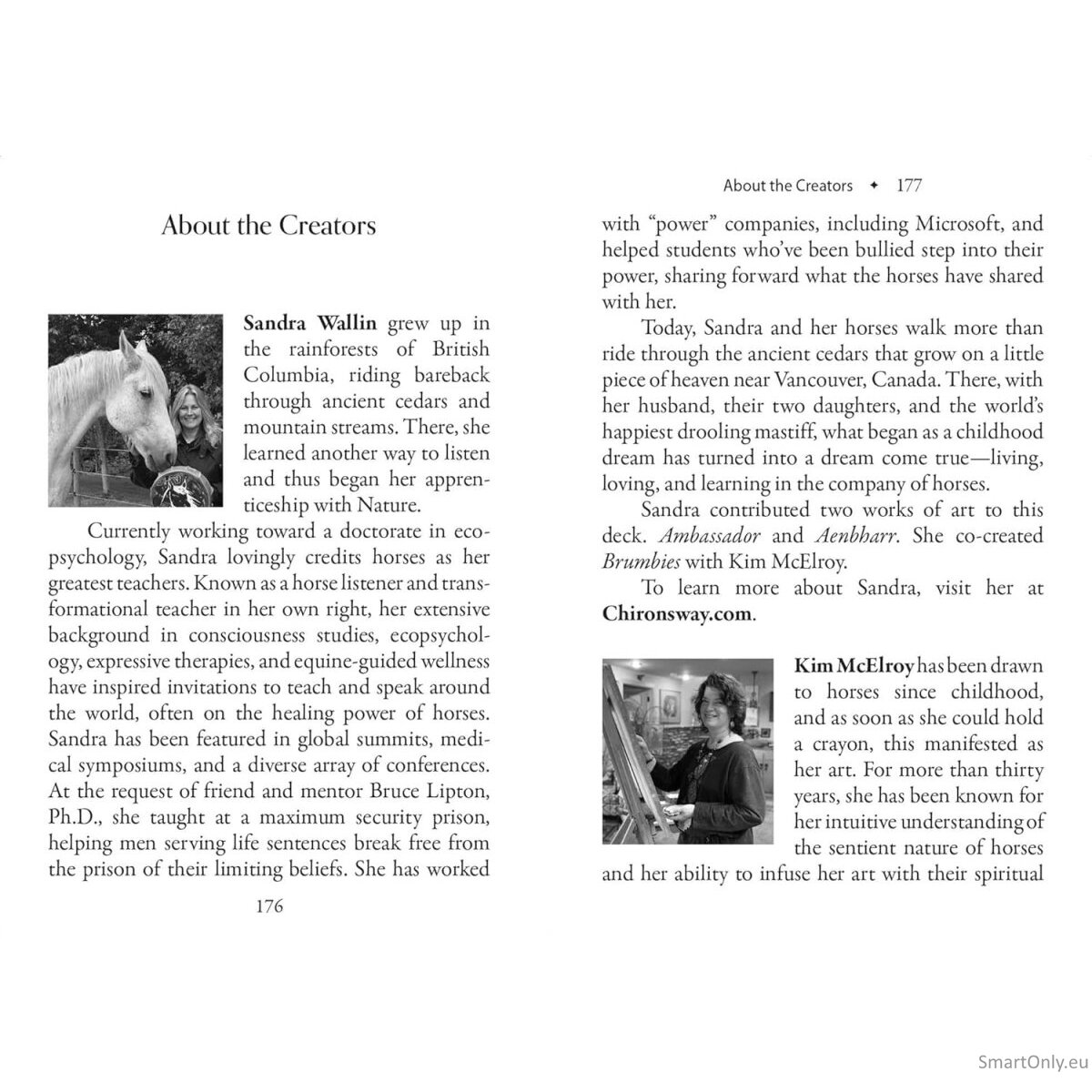 The Council of Horses Orakulo kortos Bear and Company 12