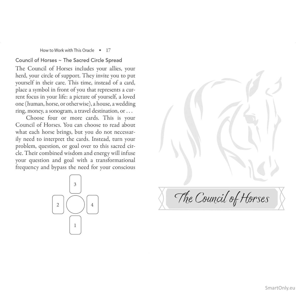 The Council of Horses Orakulo kortos Bear and Company 9 The Council of Horses Orakulo kortos Bear and Company 9