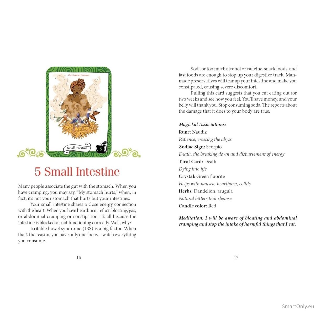 the Healthy Witch Orakulo kortos Schiffer Publishing 3 the Healthy Witch Orakulo kortos Schiffer Publishing 3