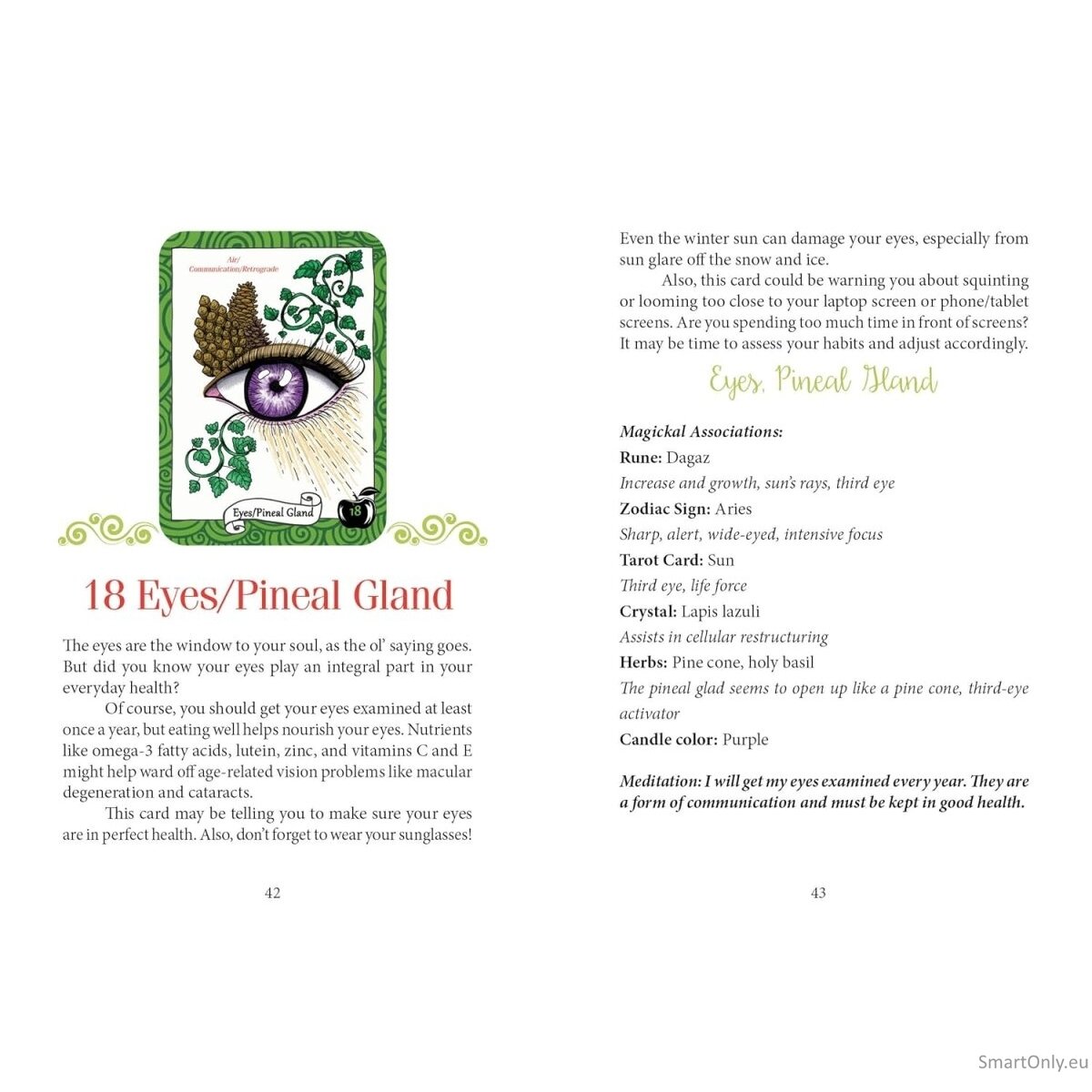 the Healthy Witch Orakulo kortos Schiffer Publishing 6