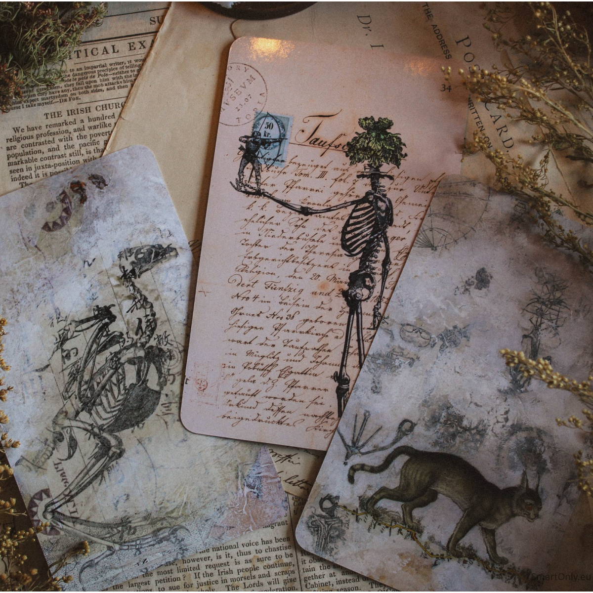 The River Oracle kortos Llewellyn 7