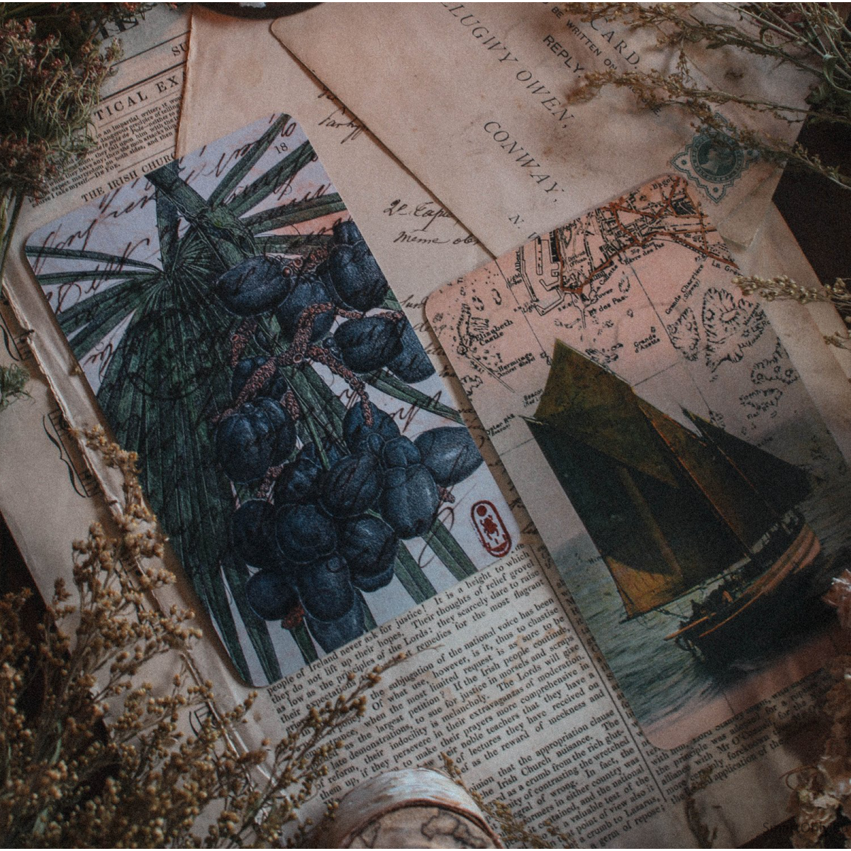 The River Oracle kortos Llewellyn 6