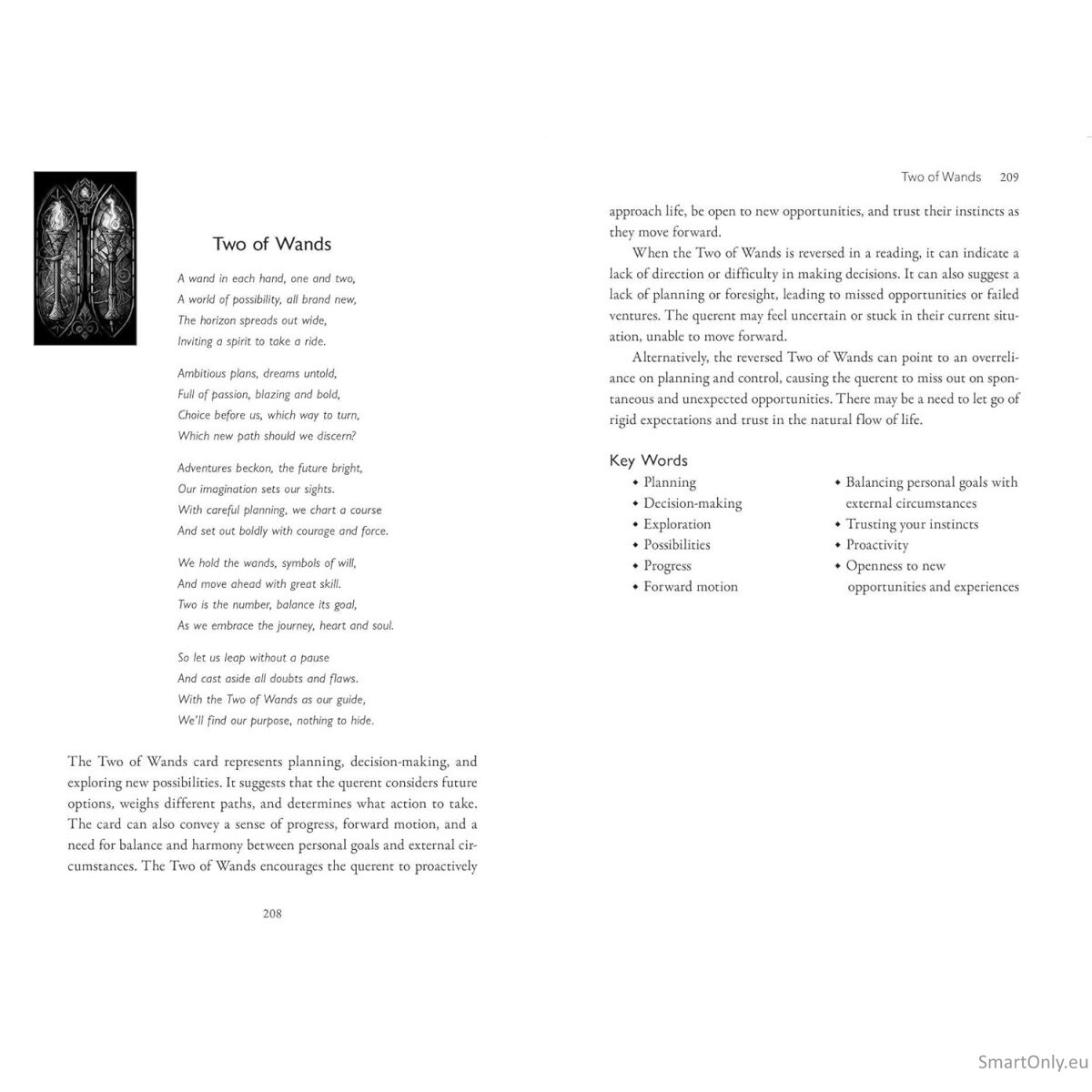 The Stained Glass Taro kortos Destiny Books 3 The Stained Glass Taro kortos Destiny Books 3