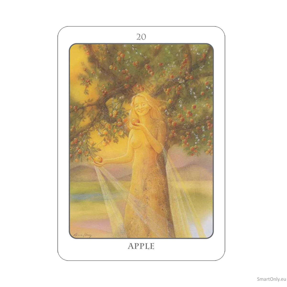 The Tree Angel Oracle kortų ir knygos rinkinys Earth Dancer 10