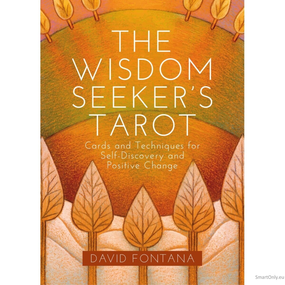 The Wisdom Seeker's Tarot kortos Watkins Publishing 10