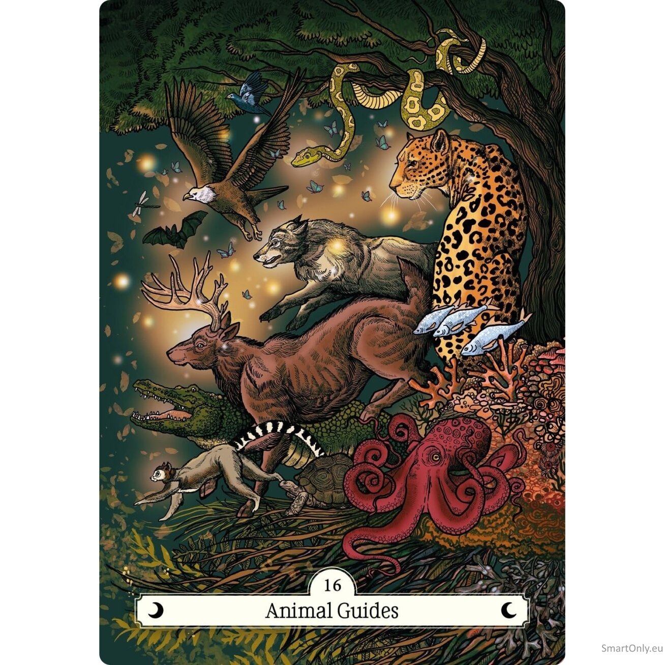 The Witch's Way Home Oracle kortos Hay House 7 The Witch's Way Home Oracle kortos Hay House 7