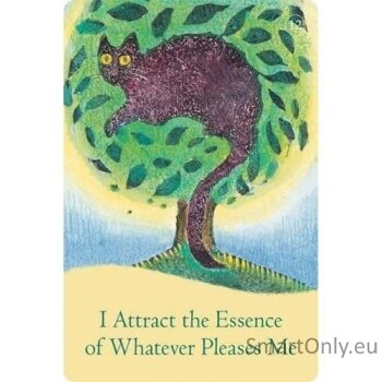 The Law Of Attraction kortos Hay House 3 The Law Of Attraction kortos Hay House 3