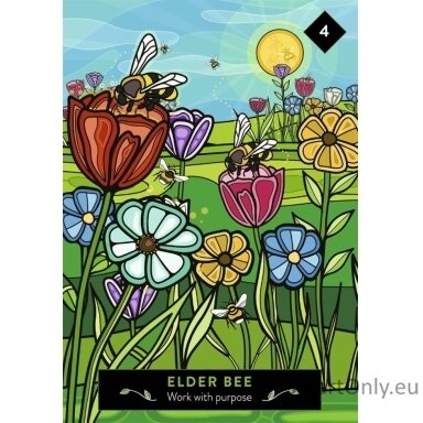The Animal Elders Oracle kortos Hay House