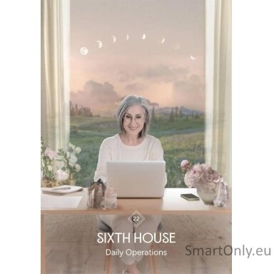 The Business Astrology Oracle kortos Hay House