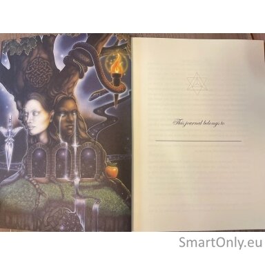 the-dreamers-story-tarot-journal-uzrasine-blue-angel-1