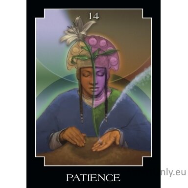 the-psychic-tarot-kisenines-orakulo-kortos-hay-house-2