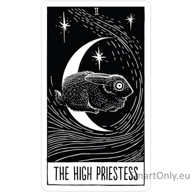 The Star String Tarot kortos US Games Systems