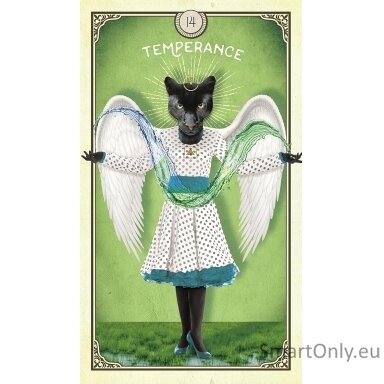 the-tarot-of-curious-creatures-kortos-hay-house-1