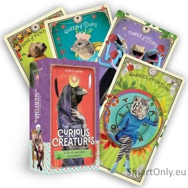 the-tarot-of-curious-creatures-kortos-hay-house