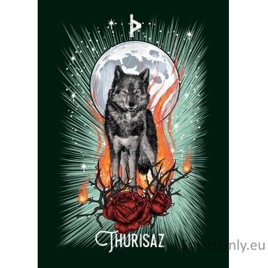 the-witchs-familiar-runic-oracle-kortos-pocket-hay-house-1