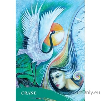 The Zen Of Animals Oracle kortos Blue Angel The Zen Of Animals Oracle kortos Blue Angel