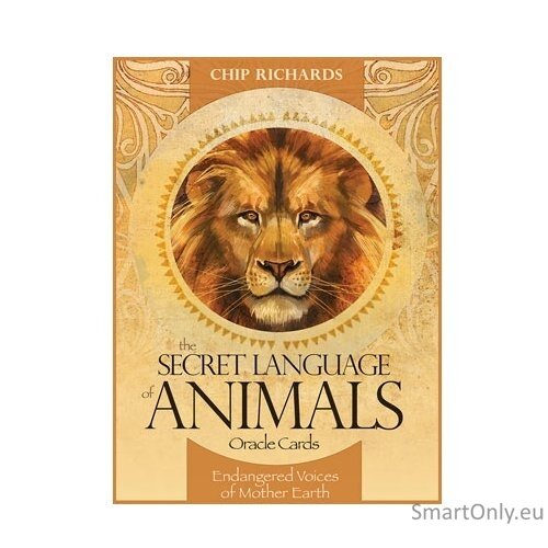 The Secret Language of Animals Oracle kortos Blue Angel 3 The Secret Language of Animals Oracle kortos Blue Angel 3