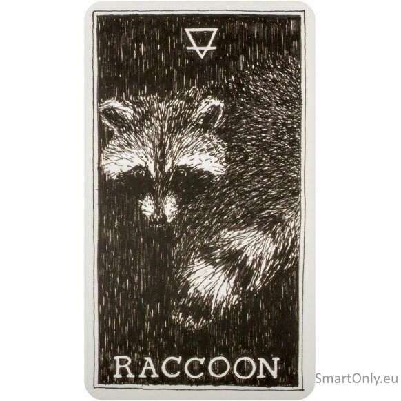 The Wild Unknown Animal Spirit Oracle kortų ir knygos rinkinys Harper One 1 The Wild Unknown Animal Spirit Oracle kortų ir knygos rinkinys Harper One 1
